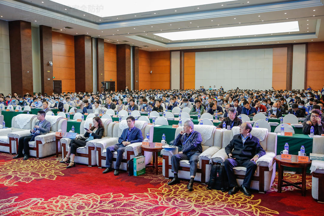 1620354820045017035.jpg image005.jpg