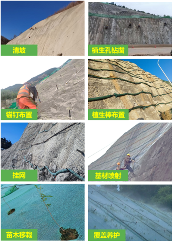 1711620986256084202.png 圖片2.png