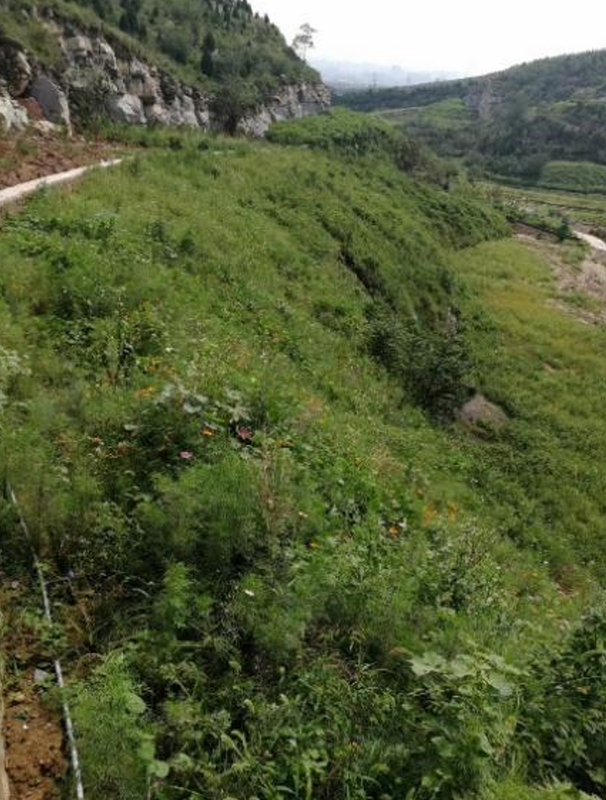 1725154416640080211.png image.png