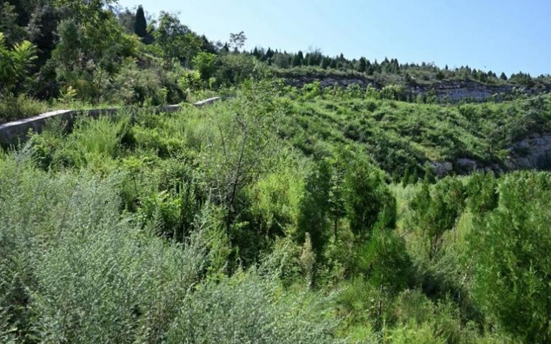 1725154475387016910.png image.png