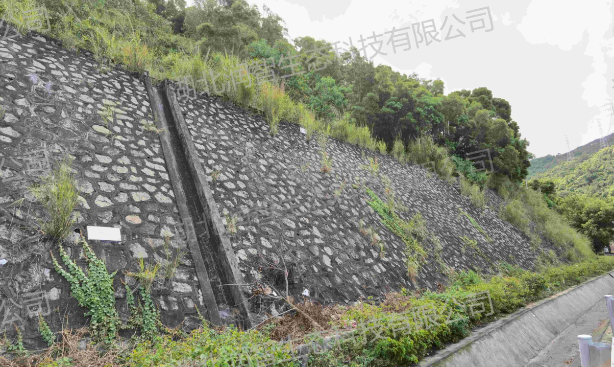 1743662134543036273.png image.png